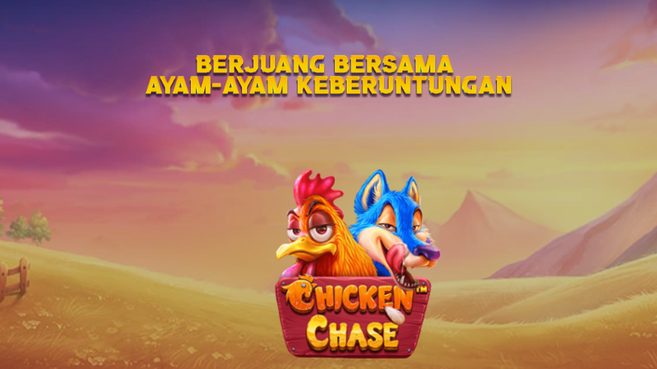 berjuang bersama ayam-ayam keberuntungan