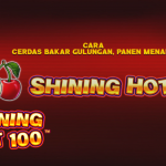 Cara Cerdas Bakar Gulungan, Panen Menang!
