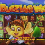 Strategi Makswin yang Terbukti Ampuh