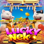 Strategi Menang Besar dari Kucing Keberuntungan”